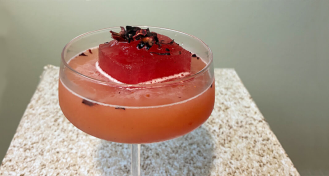 Hibiscus Holiday Paloma