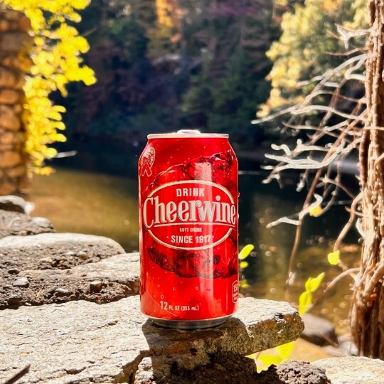 Cheerwine can in a nature setting