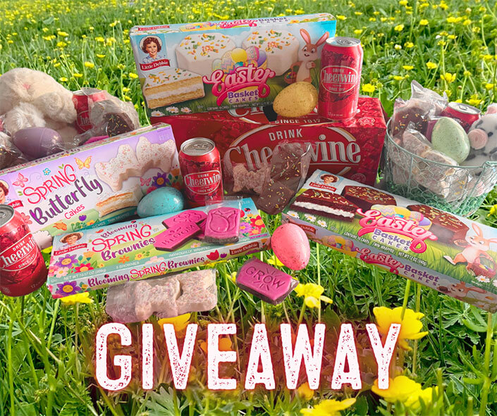 Cheerwine and Llittle Debbie products giveaway